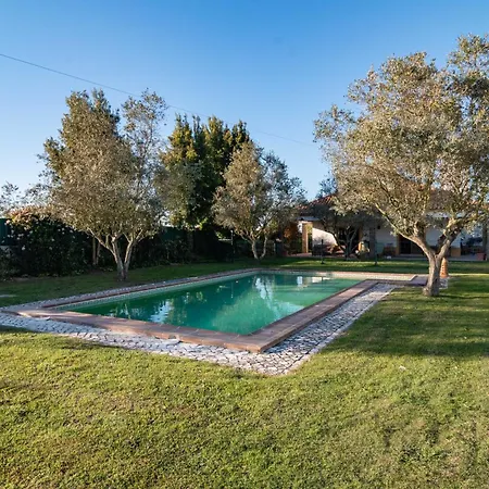 Feriehus Casa Com Piscina Privada Em - Jardim & Estacionamento *